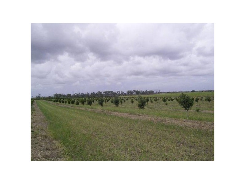 Sharon QLD 4670