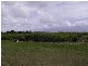 Sharon QLD 4670
