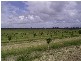 Sharon QLD 4670