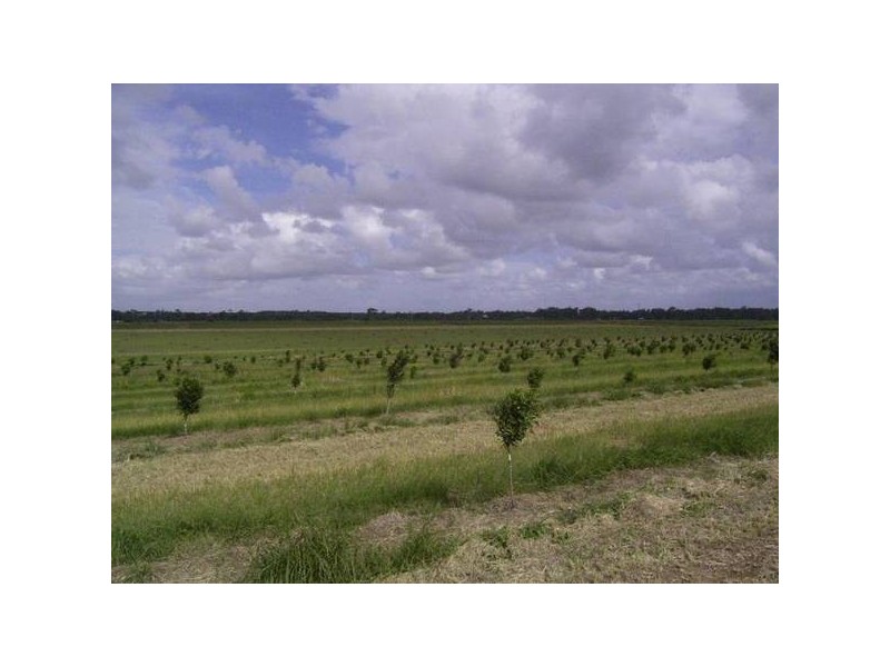 Sharon QLD 4670
