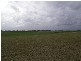 Sharon QLD 4670