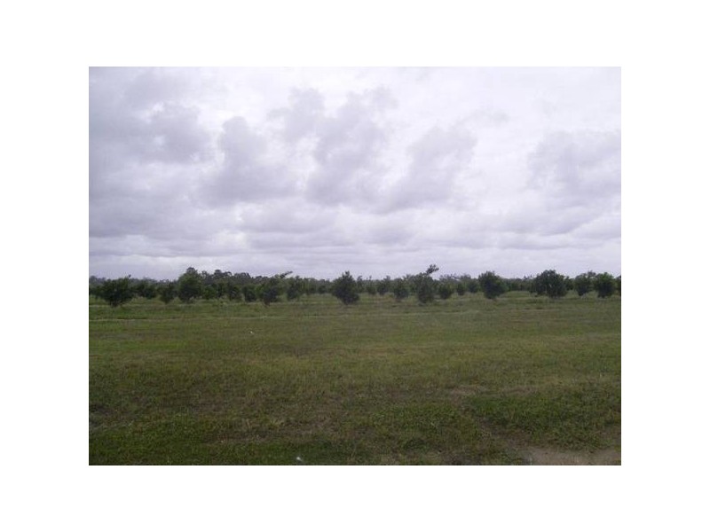 South Kolan QLD 4670