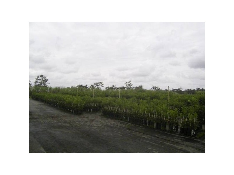 South Kolan QLD 4670