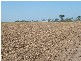 Farnsfield QLD 4660