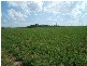 Farnsfield QLD 4660