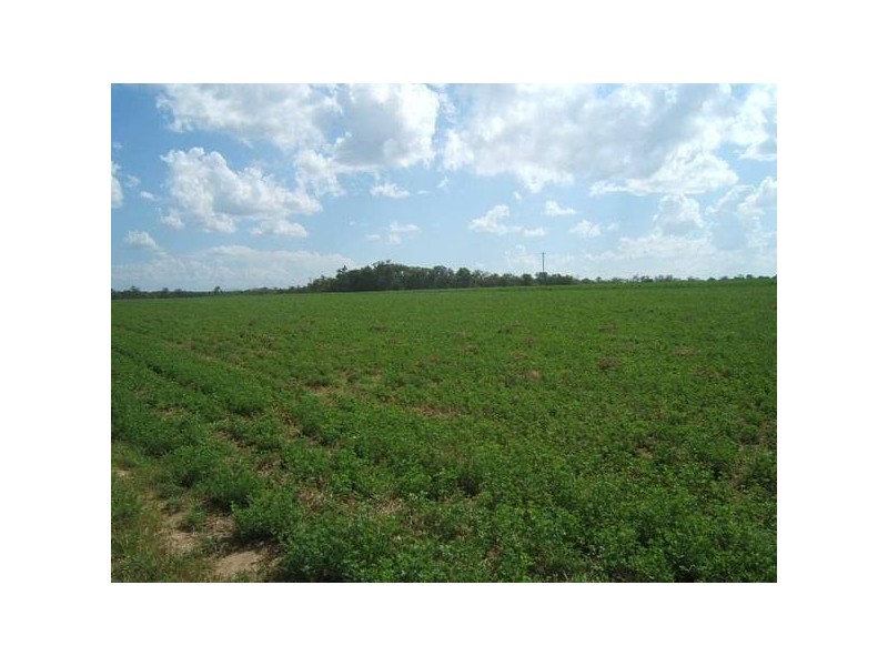 Farnsfield QLD 4660