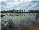 Farnsfield QLD 4660