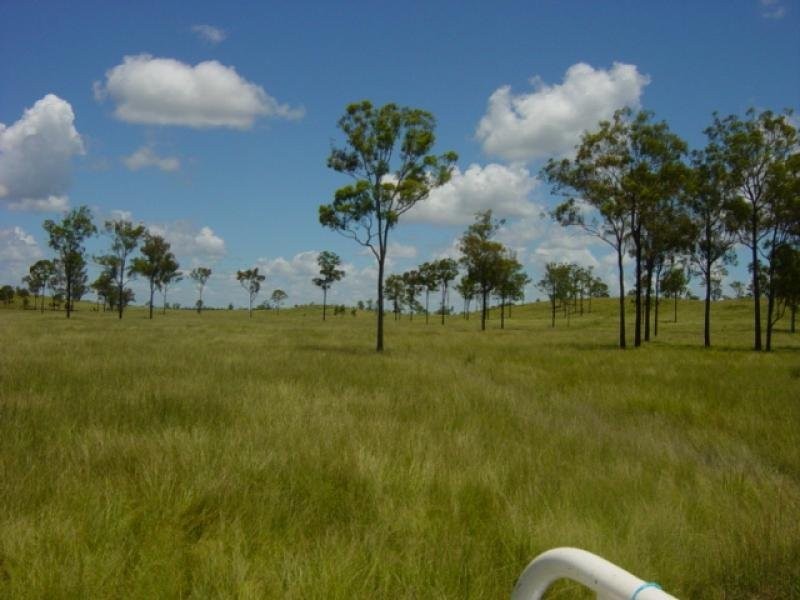 1119 Goodnight Scrub Road, Good Night QLD 4671
