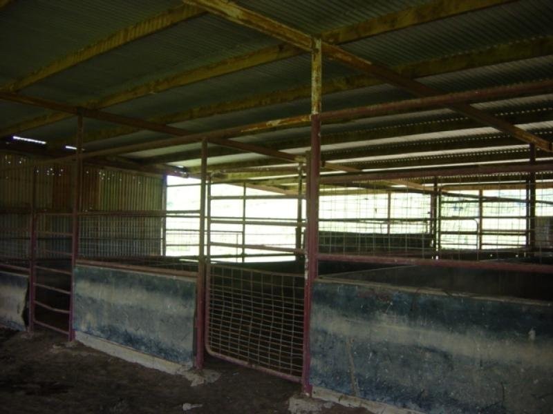 1119 Goodnight Scrub Road, Good Night QLD 4671