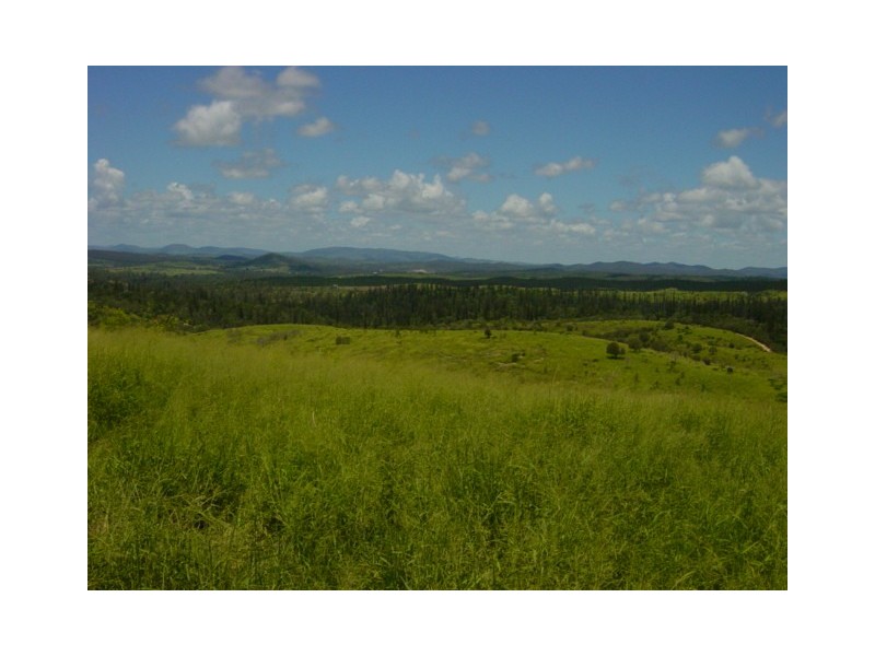 1119 Goodnight Scrub Road, Good Night QLD 4671