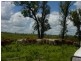 1119 Goodnight Scrub Road, Good Night QLD 4671