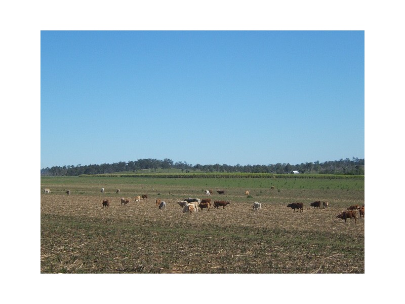 Lot 21,  Warmington Road, Gin Gin QLD 4671