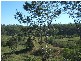 Gin Gin QLD 4671