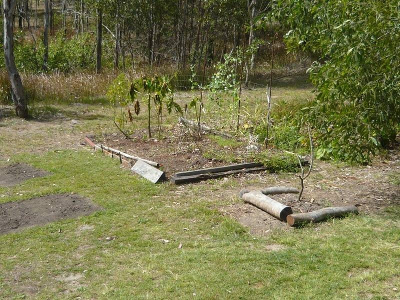 Apple Tree Creek QLD 4660