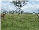 Morganville QLD 4671