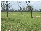 Morganville QLD 4671