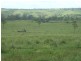 Morganville QLD 4671