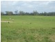 Morganville QLD 4671