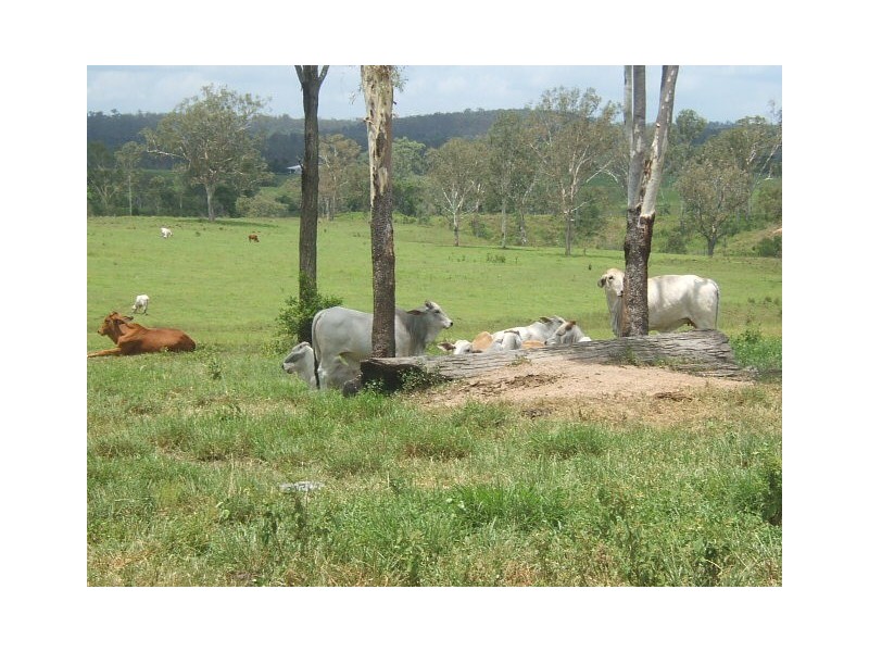 Morganville QLD 4671