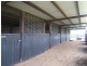 Morganville QLD 4671