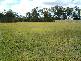 Buxton QLD 4660