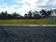 Buxton QLD 4660