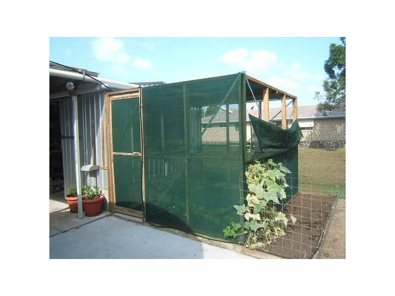 Buxton QLD 4660