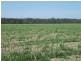 McDonalds Road, Farnsfield, Childers QLD 4660