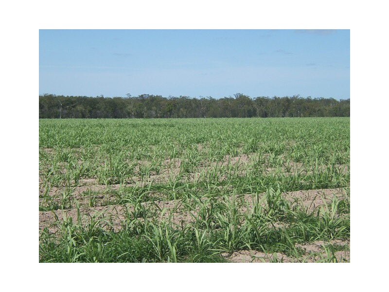 McDonalds Road, Farnsfield, Childers QLD 4660