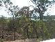 36 Watkins Street, Buxton QLD 4660