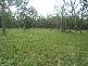 Redridge QLD 4660