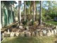 Apple Tree Creek QLD 4660