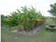 Buxton QLD 4660