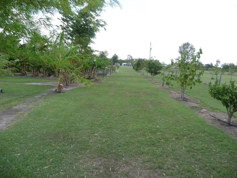 Buxton QLD 4660