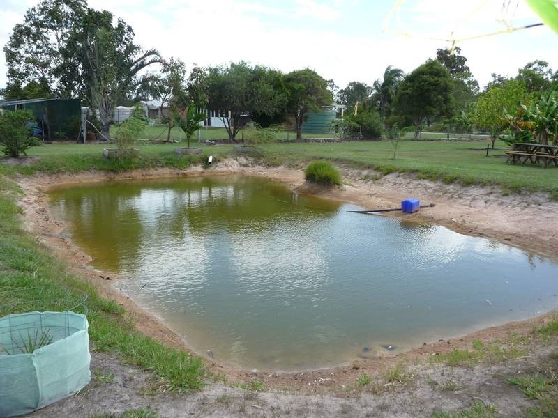 Buxton QLD 4660