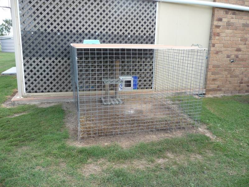 Buxton QLD 4660
