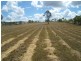 57 Redridge Crescent, Redridge QLD 4660