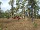 Biggenden QLD 4621