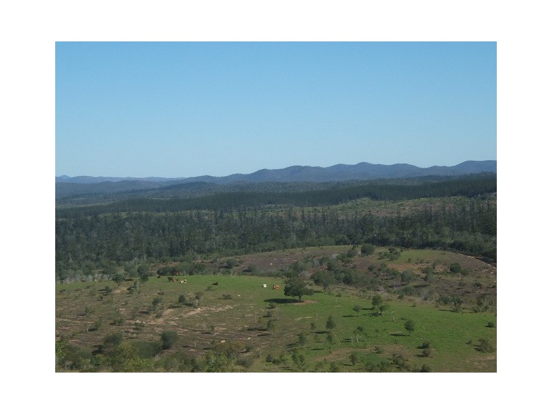 Lot 130,  Goodnight Scrub Road, Good Night QLD 4671