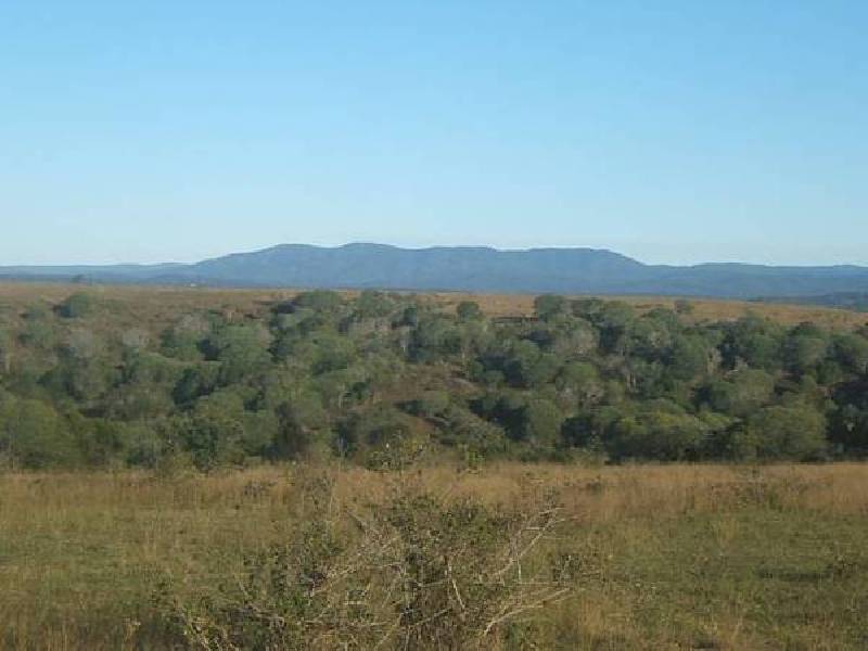 Kirks Road, Booyal QLD 4671