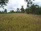 Apple Tree Creek QLD 4660