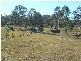 Apple Tree Creek QLD 4660
