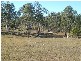 Apple Tree Creek QLD 4660