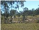 Apple Tree Creek QLD 4660