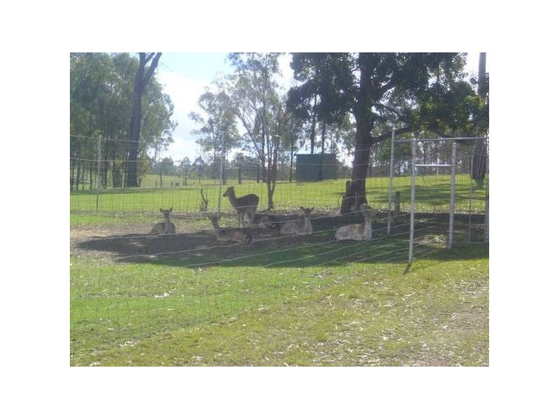 Apple Tree Creek QLD 4660
