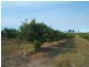 Scotneys Road, Moorland, Bundaberg QLD 4670