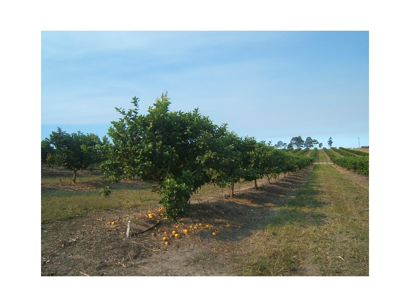 Scotneys Road, Moorland, Bundaberg QLD 4670