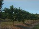 Scotneys Road, Moorland, Bundaberg QLD 4670