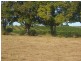 Scotneys Road, Moorland, Bundaberg QLD 4670