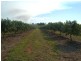 Scotneys Road, Moorland, Bundaberg QLD 4670